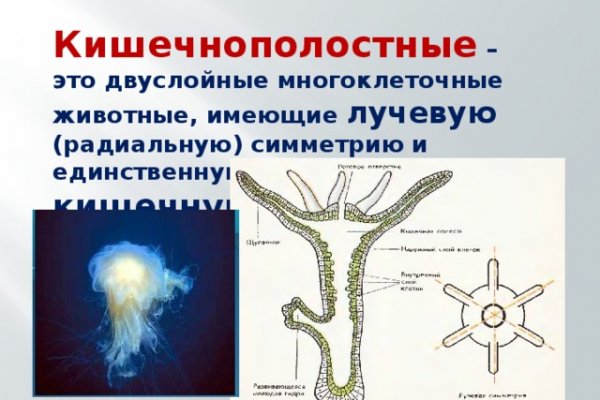 Кракен тор браузер