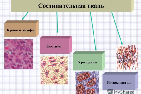 Ссылка кракен сегодня