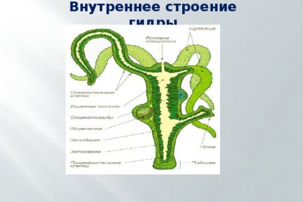 Как зарегистрироваться в кракен в россии