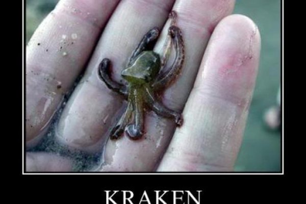 Kraken даркнет рынок ссылка