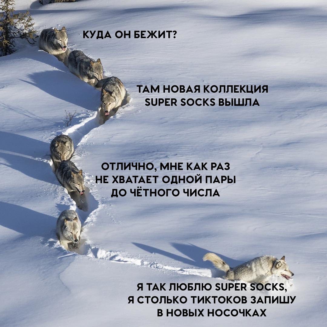 Кракен маркет даркнет только через тор